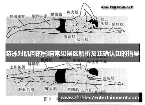 游泳对肌肉的影响常见误区解析及正确认知的指导