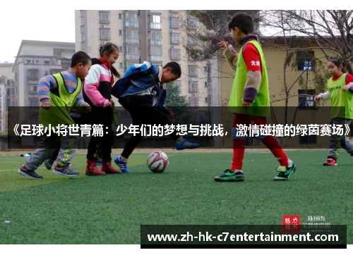 《足球小将世青篇：少年们的梦想与挑战，激情碰撞的绿茵赛场》