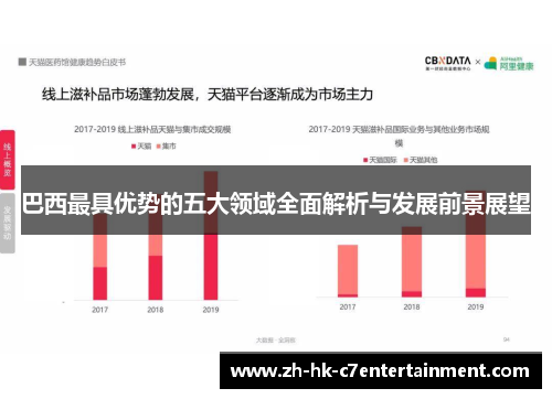 巴西最具优势的五大领域全面解析与发展前景展望