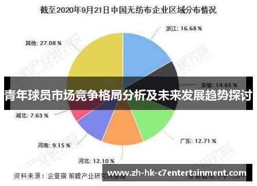 青年球员市场竞争格局分析及未来发展趋势探讨